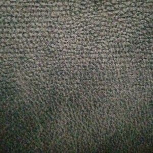 Meet your Posher, Ginger